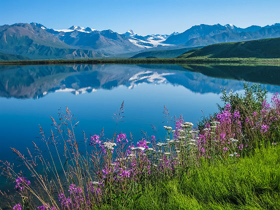 Alaska Tanana Valley 