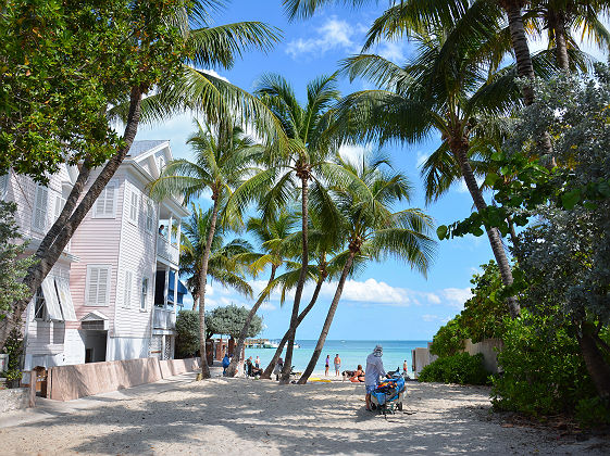 Etats-Unis - Dog Beach à Key West