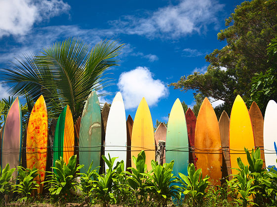Hawaï - Rangée de planches de surf colorées
