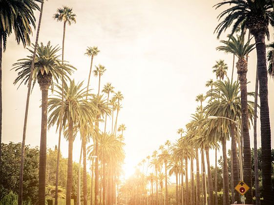 Los Angeles - Vue de Santa Monica au coucher de soleil