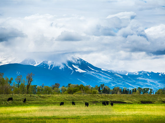 Paysage près de Bozeman dans le Montana - Etats Unis