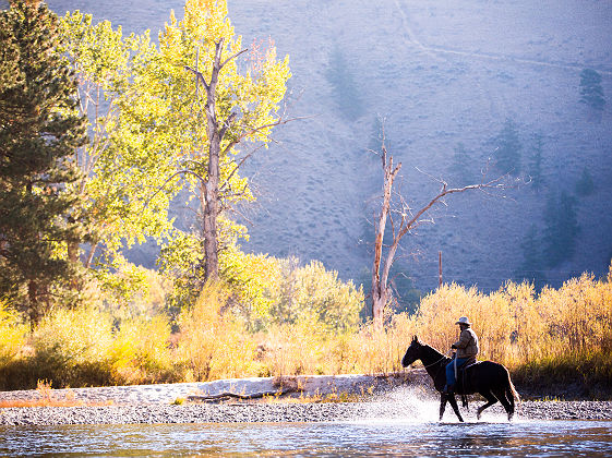 Etats-Unis - Portrait d'un chevalier sur son cheval sur les rives de la rivière