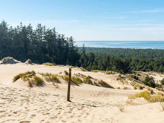 Vue sur le littoral depuis les dunes de sables - Oregon, Etats-Unis