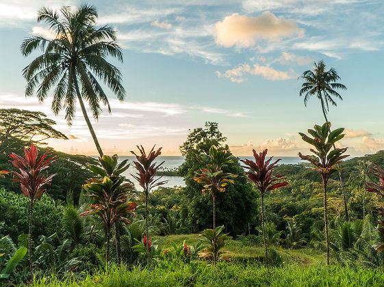 RAIATEA__Copyright Audrey Svoboda_tahititourisme