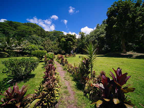 Tahiti - Chemin 2 cascades Vaihi - Tahiti Tourisme