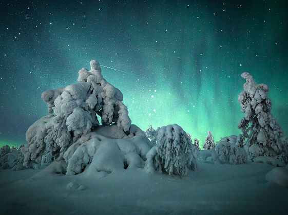 Snow covered trees northern lights VisitLevi