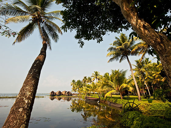Backwaters (canaux) du Kerala - Inde