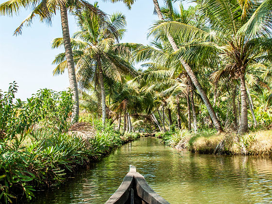 Bateau &quot;Boathouse&quot; sur les backwaters (canaux) du Kerala - Inde