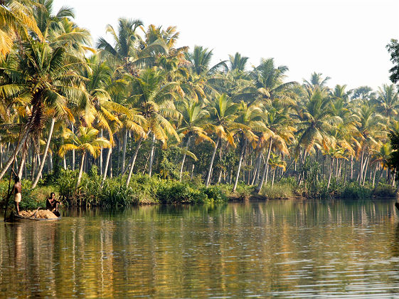 Rivière Poovar à Kovalam, Kerala - Inde