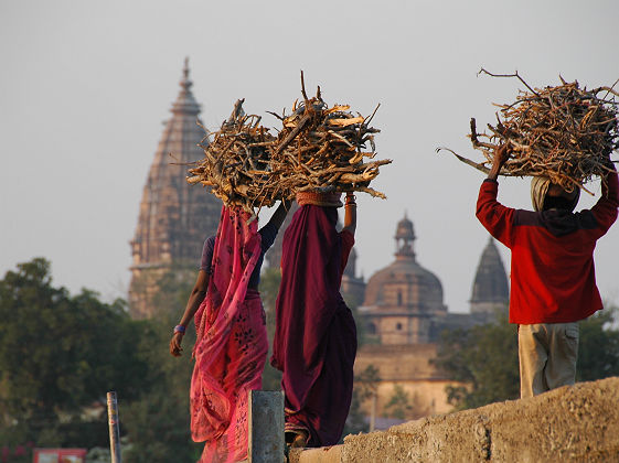 Inde - Portrait de trois femmes portant des bûches de toi sur la tête à Orchha