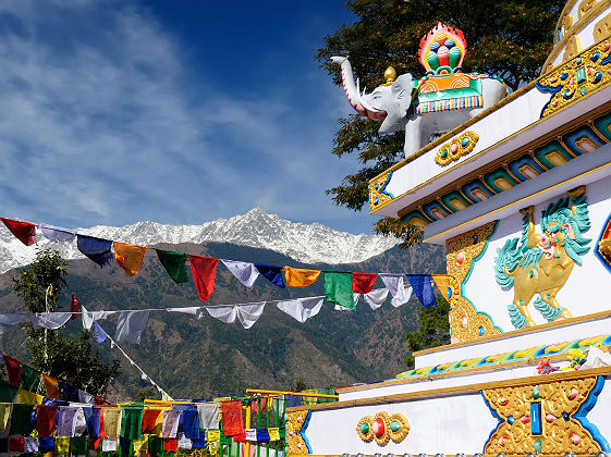 Temple Kalaczakra à Dharamsala - Inde