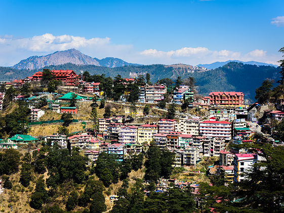 Inde - Vue sur les maisons colorées à Shimla