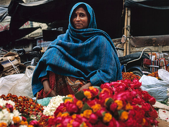 Marché au fleurs en Inde