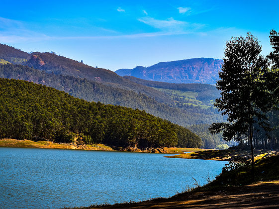 Munnar au Kerala