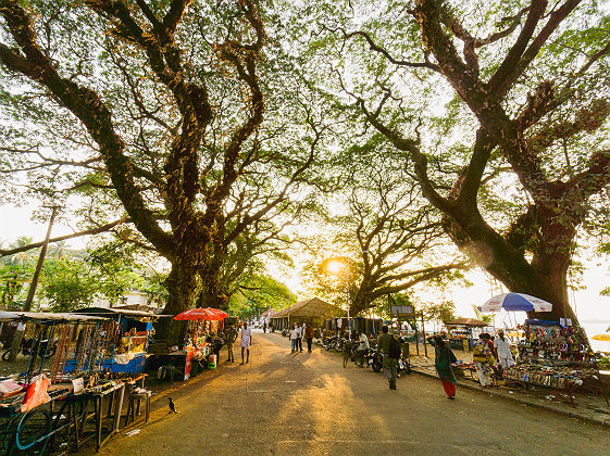 Kochi, coucher de soleil dans la région du Kerala