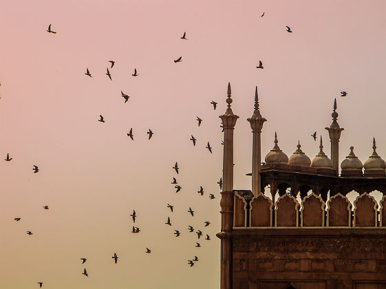 Inde - Façade de la mosquée de Jama Masjid à Delhi