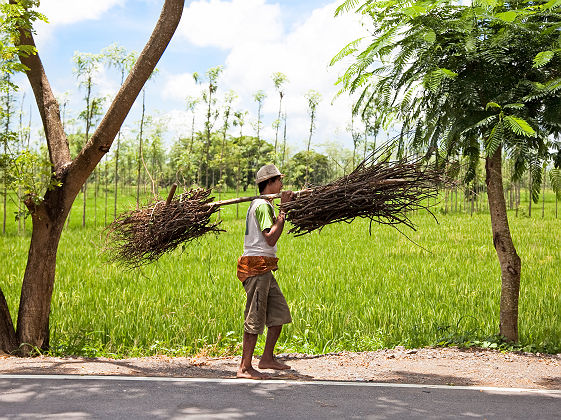 Agriculteur sur une route à Lombok - Indonésie