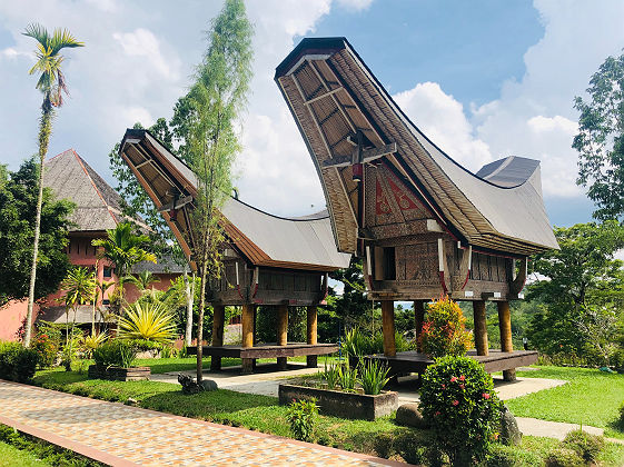 Maisons traditionnelles des Toraja. Appelées &quot;Tongkonan&quot;, elles sont sculptées en bois. Île de Sulawesi.