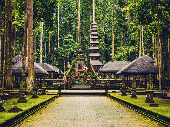 Sanctuaire sacré de la forêt des singes, Ubud - Bali, Indonésie