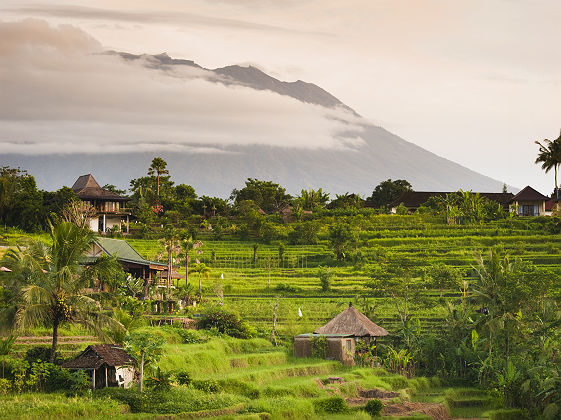 Bali - Rizières au village Sidemen
