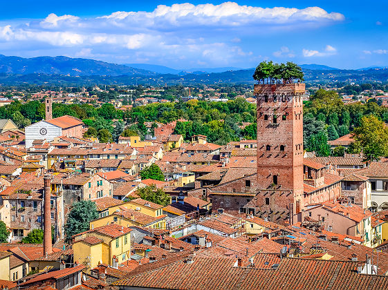 Vue sur Lucques et sa tour Guinigi - Italie