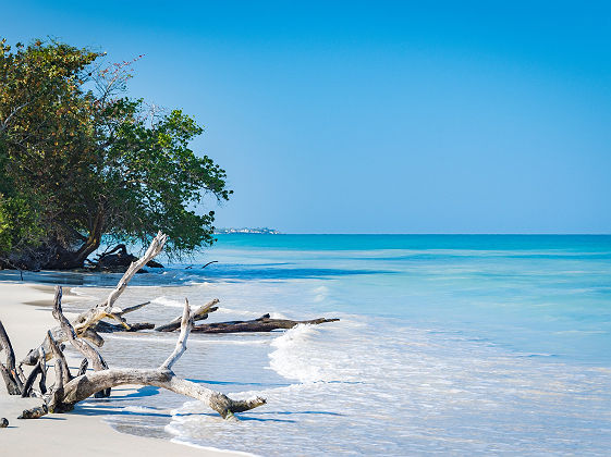 amplitudes_la_boheme_jamaicaine_treasure_beach