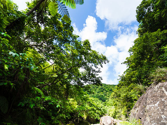 Iriomote Island ©OCVB