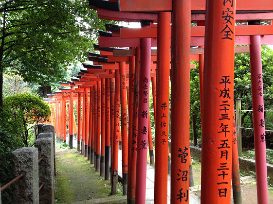 Tokyo Ueno Sanctuaire Torii