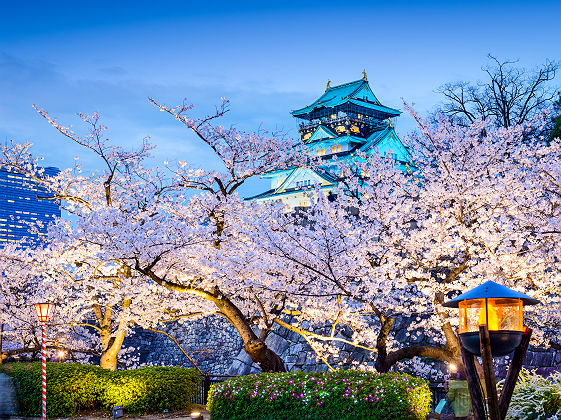 Japon - Cerisiers en floraison et château d'Osaka en arrière-plan