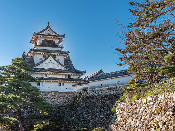 Scenery of the Kochi castle in Kochi, Japan