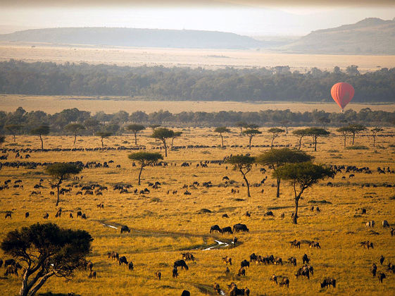 Sanctuary Olonana, balade en Montgolfière