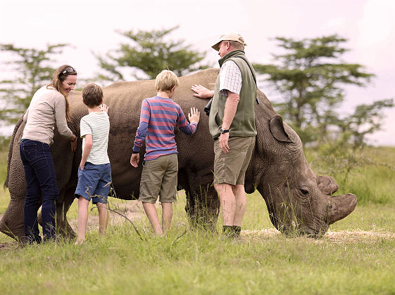 Ol Pejeta Bush Camp