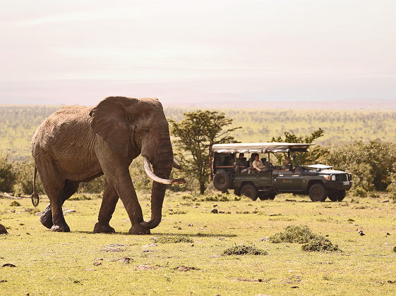 Africa Encounter Mara