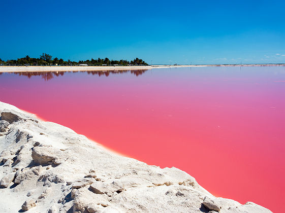 Le lac rose Las Coloradas