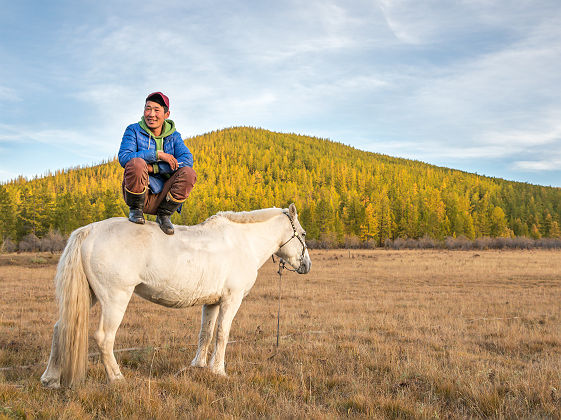 Mongol sur son cheval blanc - Mongolie