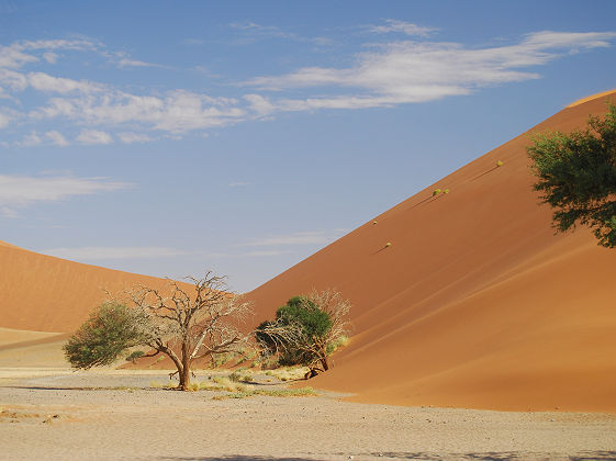 Désert de Namibie, Sossusvlei