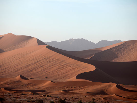 Désert de Namibie