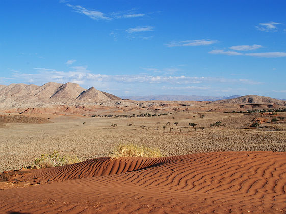 Dunes du désert du Namib