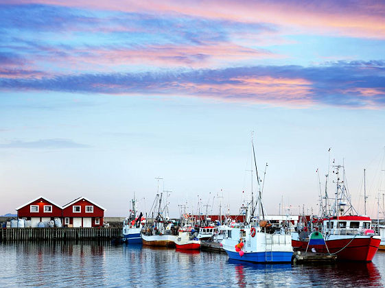 Red rorbu buildings in Bodo harbor, Norway
