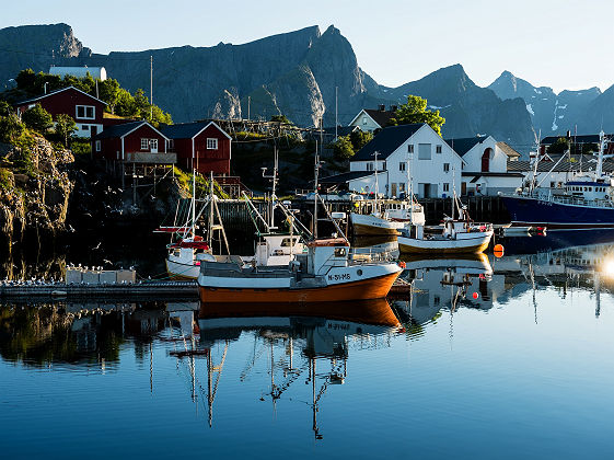 Boats in Reine, Lofoten Islands, Norway - Mattias Fredriksson - VisitNorwaycom