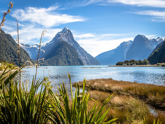 Nouvelle-Zélande - Vue sur le fjord de Milford Sound