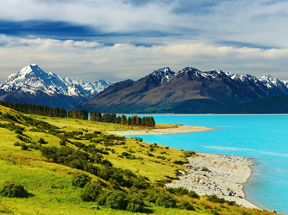 Nouvelle Zélande - Vue sur le lac Pukaki et la montagne Cook en arrière-plan