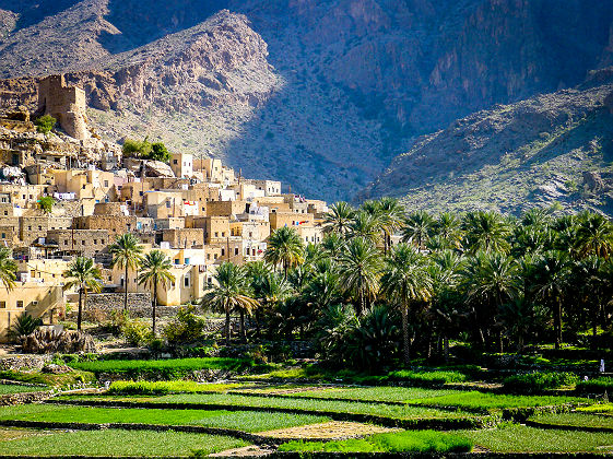 Bilad Sayt, village-oasis de la région de Nizwa - Oman