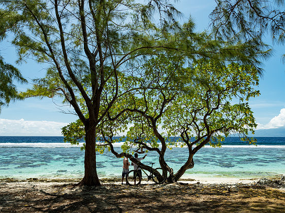 MOOREA_Copyright _Gregoire Le Bacon