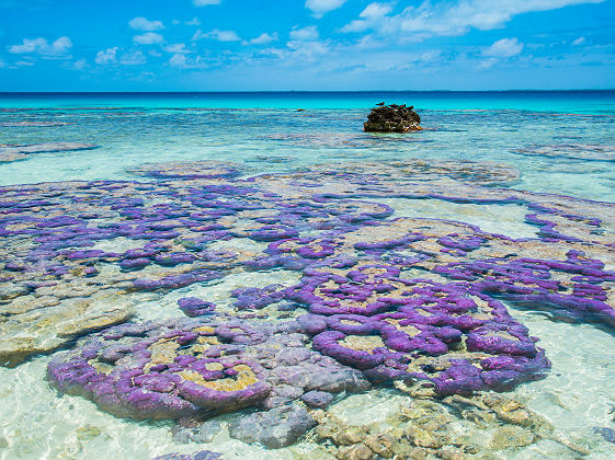 TIKEHAU_36_Copyright Lei Tao