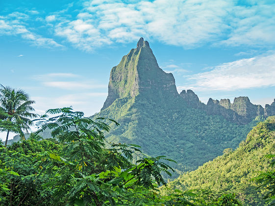 Paysage des montagnes de Moorea - Polynésie Française