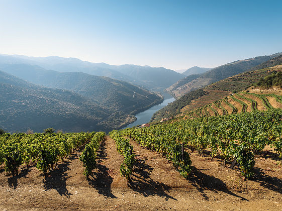 Douro, Portugal