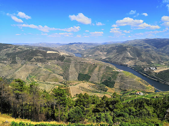 Estrada Sao Leonardo, Galafura, Vila Real, Portugal