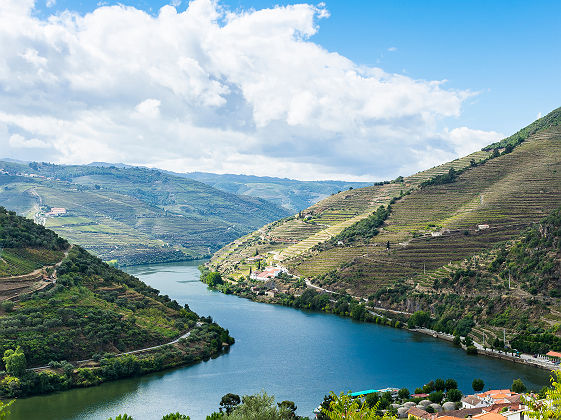 La Vallée du Douro - Portugal