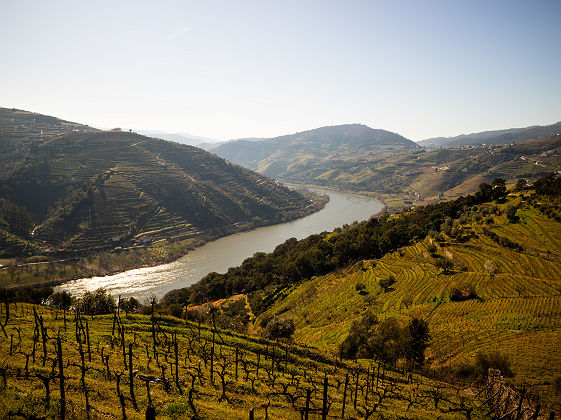 Vallée du Douro, Portugal